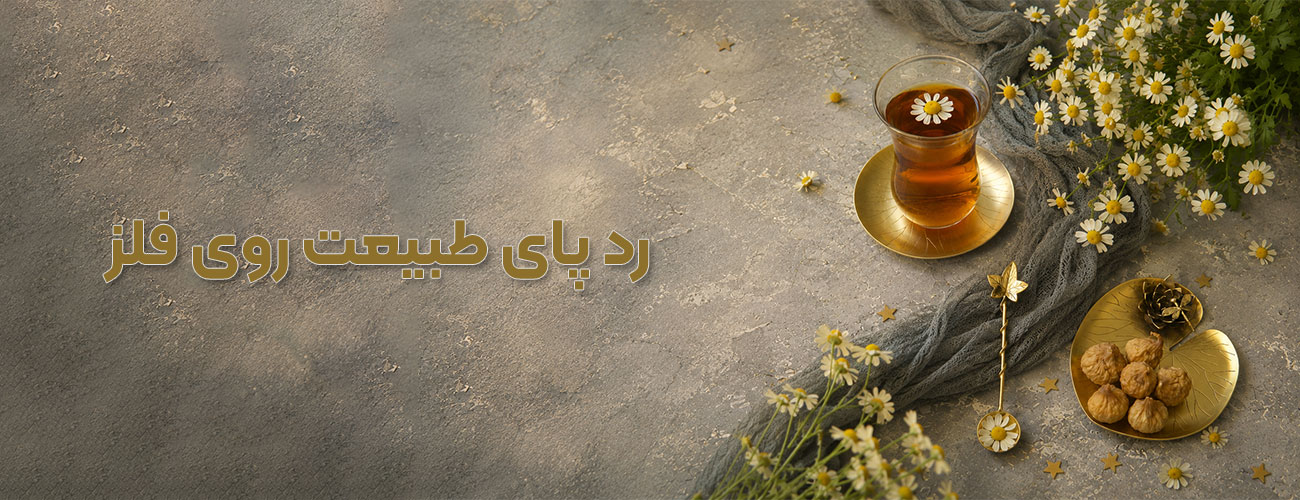 استودیو متال فارست - نقره دست ساز